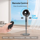 Wide Reach Quiet Airflow Circulator Fan