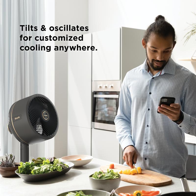 Cordless Mist Breeze Patio and Home Fan