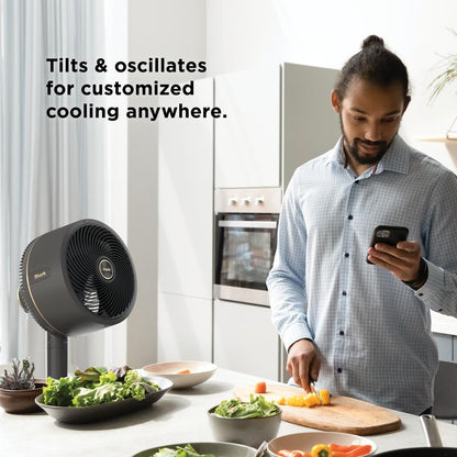 Cordless Mist Breeze Patio and Home Fan